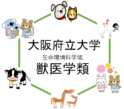大阪府立大学の獣医学類を徹底分析 獣医学科ならロジティー