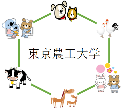 東京農工大学の獣医学科を徹底分析 獣医学科ならプロ家庭教師のロジティー