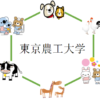 東京農工大学の獣医学科を徹底分析  | 獣医学科ならプロ家庭教師のロジティー