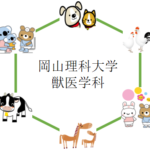 岡山理科大学の獣医学部 獣医学科を徹底分析 | 獣医学科ならプロ家庭教師のロジティー