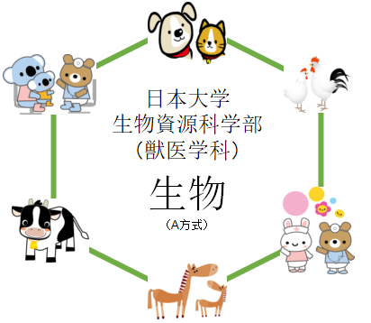生物 日本大学 獣医学科 生物資源科学部 の入試を徹底分析 獣医学科ならプロ家庭教師のロジティー