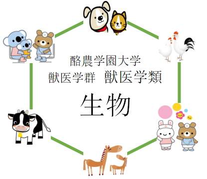 生物 酪農学園大学獣医学類の入試を徹底分析 獣医学科ならプロ家庭教師のロジティー