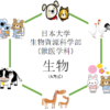 【生物】日本大学 獣医学科（生物資源科学部）の入試を徹底分析　|獣医学科ならプロ家庭教師のロジティー