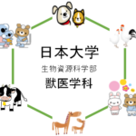 日本大学の獣医学科を徹底分析 | 獣医学科ならプロ家庭教師のロジティー