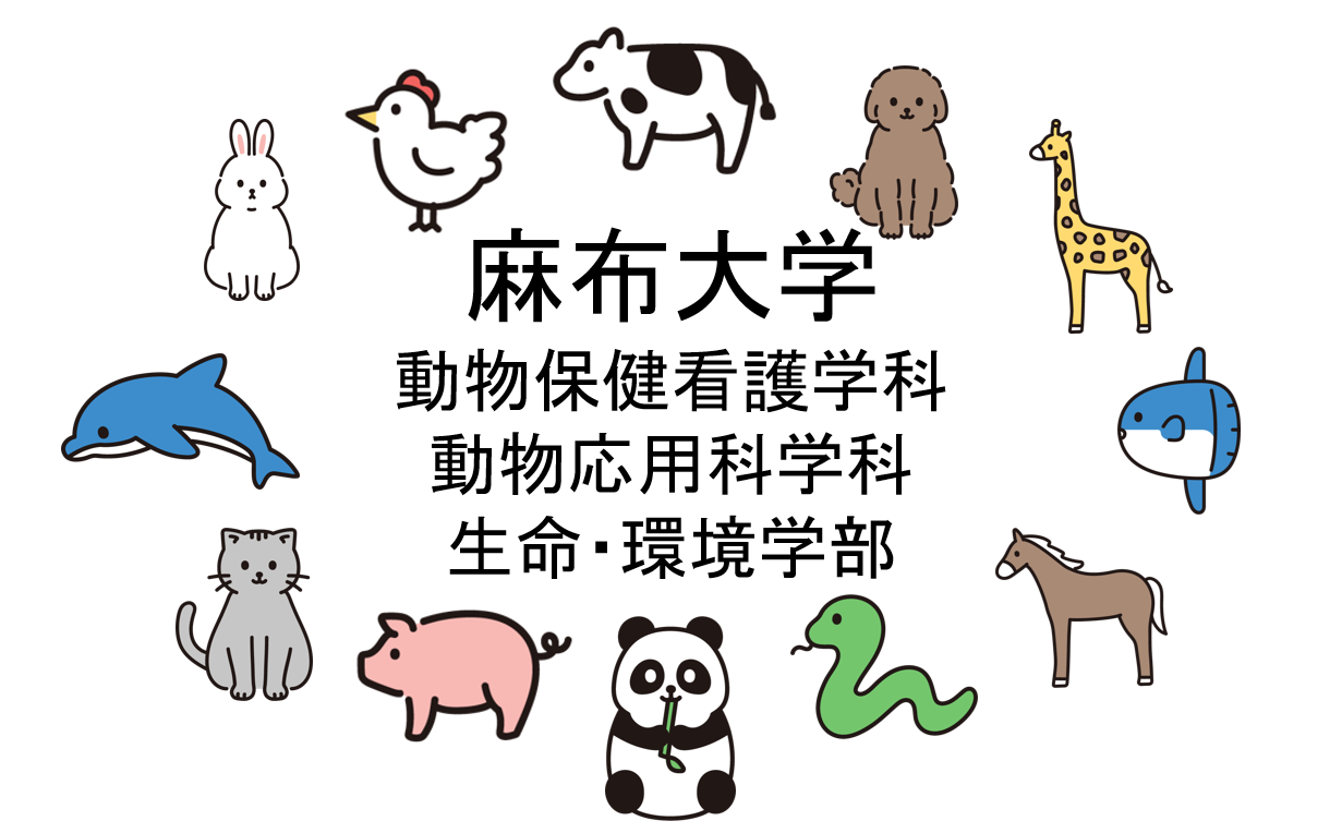 英語・数学】麻布大学の獣医学部・命環境科学部の入試問題を徹底分析